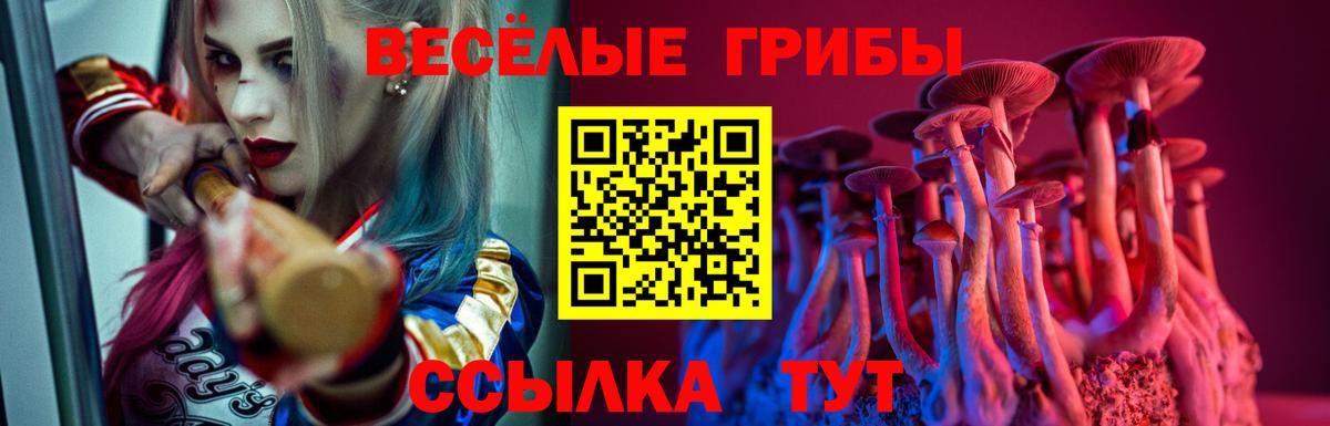 Псилоцибиновые грибы мицелий Грязи